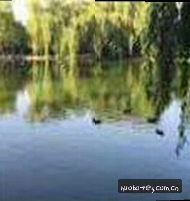 赵敏